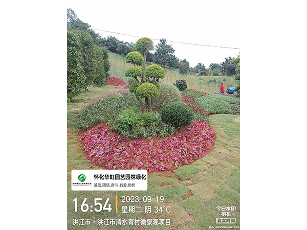 洪江市托口鎮(zhèn)清水青村綠化微景觀(guān)施工現(xiàn)場(chǎng)