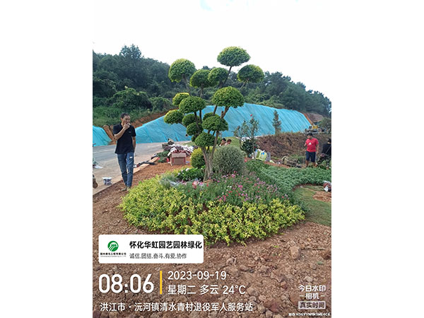 洪江市托口鎮(zhèn)清水青村綠化微景觀(guān)施工現(xiàn)場(chǎng)
