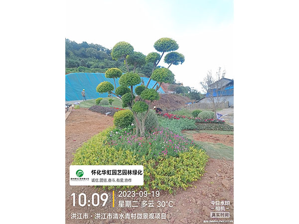 洪江市托口鎮(zhèn)清水青村綠化微景觀(guān)施工現(xiàn)場(chǎng)