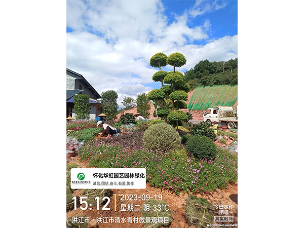 洪江市托口鎮(zhèn)清水青村綠化微景觀(guān)施工現(xiàn)場(chǎng)