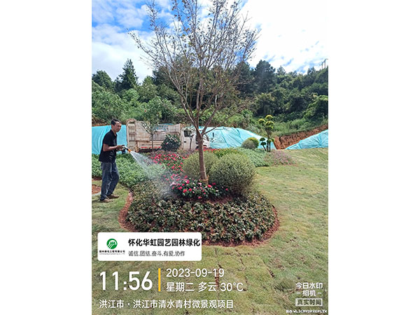 洪江市托口鎮(zhèn)清水青村綠化微景觀(guān)施工現(xiàn)場(chǎng)