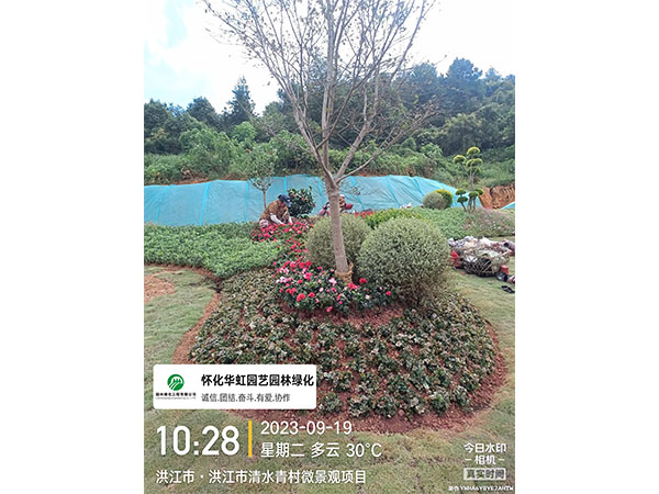 洪江市托口鎮(zhèn)清水青村綠化微景觀(guān)施工現(xiàn)場(chǎng)