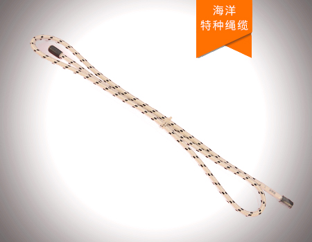 深海潛標(biāo)數(shù)據(jù)實(shí)時(shí)傳輸繩纜